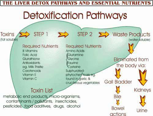 Detox Pathways